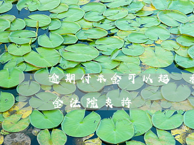 逾期付本金可以起訴利息嗎(逾期利息超過本金法院支持嗎)
