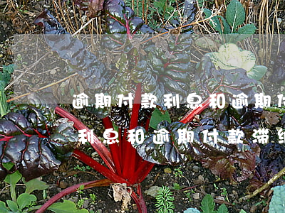 逾期付款利息和逾期付款滞纳金-逾期付款利息和逾期付款滞纳金一样吗