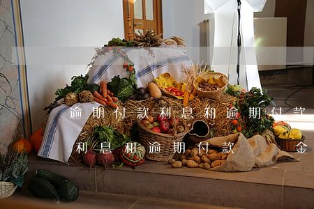 逾期付款利息和逾期付款違約金-逾期付款利息和逾期付款違約金區(qū)別