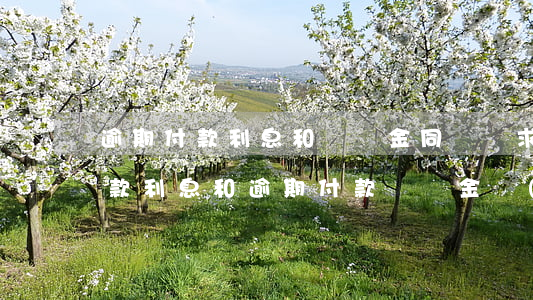逾期付款利息和違約金同時請求嗎-逾期付款利息和逾期付款違約金區(qū)別