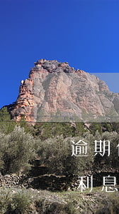 逾期付款利息未約定的處理原則-逾期付款利息未約定的處理原則是