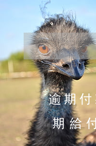 逾期付款利息無約定法院網(wǎng)(逾期給付利息)