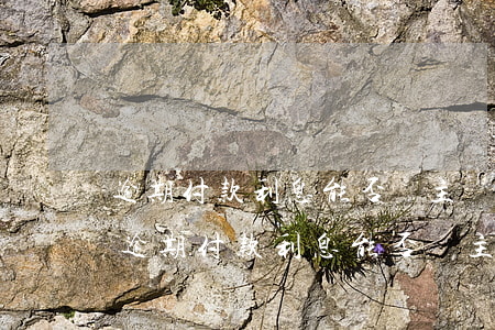 逾期付款利息能否隨主債務(wù)抵消-逾期付款利息能否隨主債務(wù)抵消呢