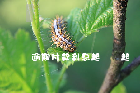逾期付款利息起訴狀（起訴狀中逾期支付貨款）