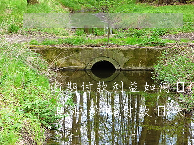 逾期付款利益如何計(jì)算(逾期付款利息和逾期付款損失)