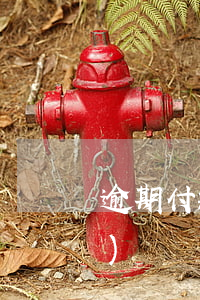 逾期付款幾天應(yīng)承擔(dān)違約責(zé)任嗎-逾期付款幾天應(yīng)承擔(dān)違約責(zé)任嗎