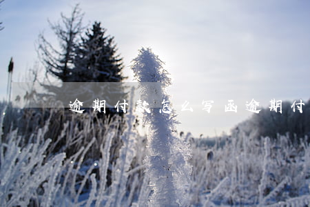 逾期付款怎么写函（逾期付款怎么写）