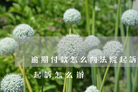 逾期付款怎么向法院起訴-欠款逾期被法院起訴怎么辦