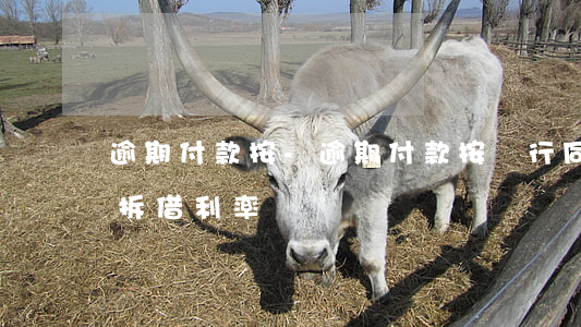逾期付款按-逾期付款按銀行同業(yè)拆借利率