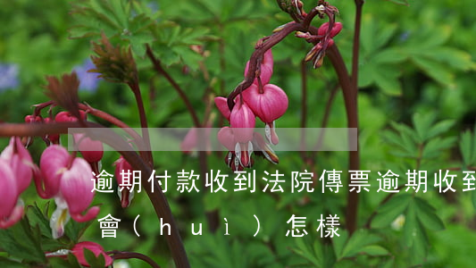 逾期付款收到法院傳票(逾期收到傳票不出庭會(huì)怎樣)