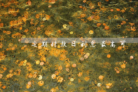 逾期付款日利息最高可約定多少-