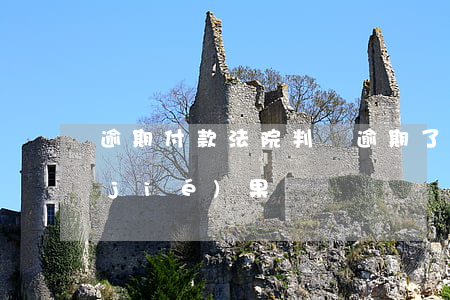 逾期付款法院判決 逾期了法院判決后的結(jié)果