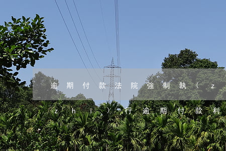 逾期付款法院強制執(zhí)行(強制執(zhí)行逾期付款利息)