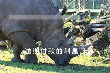 逾期付款的利息計算