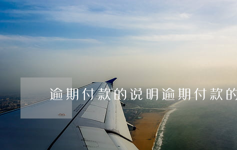 逾期付款的说明（逾期付款的说明）