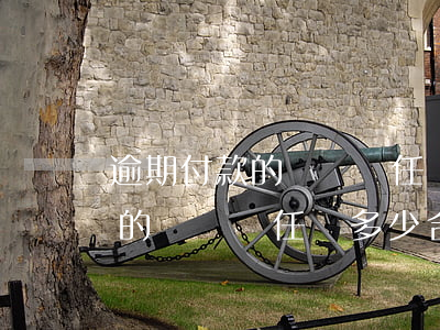 逾期付款的違約責任為多少合法-逾期付款的違約責任為多少合法呢