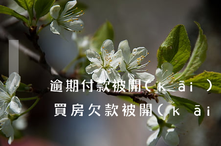 逾期付款被開(kāi)發(fā)商起訴(買房欠款被開(kāi)發(fā)商起訴)