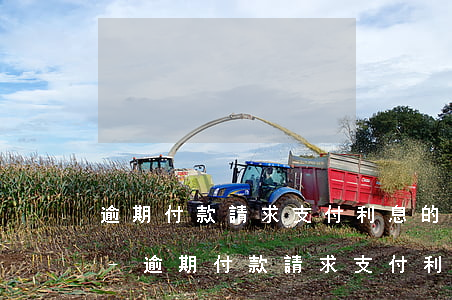 逾期付款請求支付利息的法律依據(jù)-逾期付款請求支付利息的法律依據(jù)是什么