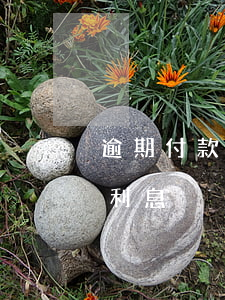 逾期付款資金占用利息（法院對逾期占用資金利息）