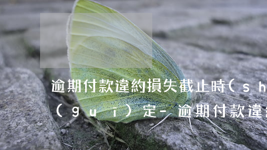 逾期付款違約損失截止時(shí)間的規(guī)定-逾期付款違約損失截止時(shí)間的規(guī)定是什么