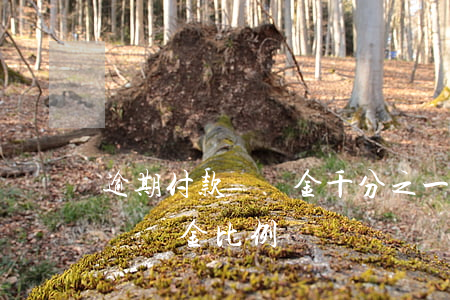 逾期付款違約金千分之一合法嗎-逾期付款違約金比例