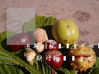逾期付款違約金可以計(jì)算多少天-逾期付款違約金可以計(jì)算多少天內(nèi)