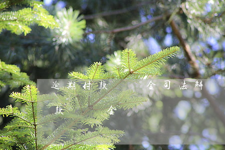 逾期付款違約金司法解釋(最高法關于逾期付款違約金)