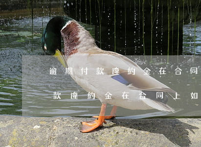 逾期付款違約金在合同上如何約定-逾期付款違約金在合同上如何約定的