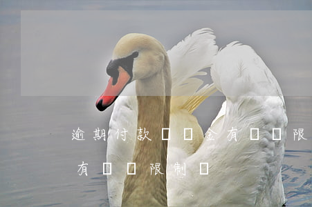 逾期付款違約金有總額限制(逾期付款違約金有總額限制嗎)