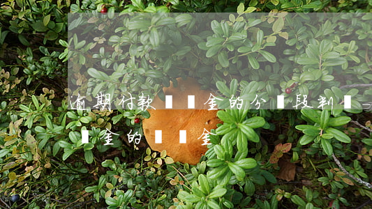 逾期付款違約金的分階段判決-逾期支付違約金的違約金