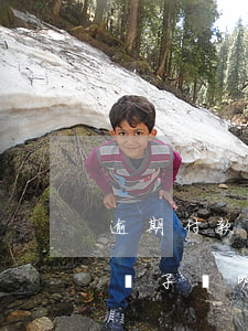 逾期付款電子說明要填什么影響-逾期付款電子說明要填什么影響征信