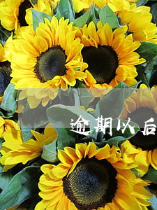逾期以后多久房貸(房貸逾期幾個小時會怎么樣)