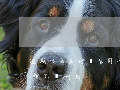 逾期以后如何還信用卡(還逾期信用卡怎么才能不還利息)