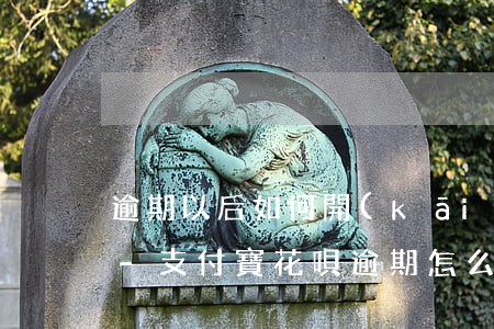 逾期以后如何開(kāi)通花唄支付方式-支付寶花唄逾期怎么開(kāi)通花唄
