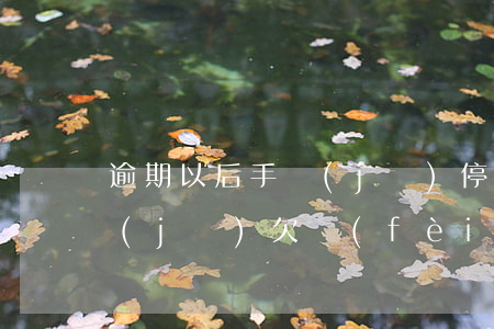 逾期以后手機(jī)停機(jī)-手機(jī)欠費(fèi)幾天會(huì)被停機(jī)