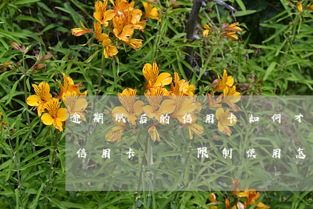 逾期以后的信用卡如何才可以正常使用（逾期信用卡賬戶限制使用怎么辦）