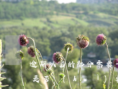 逾期以后的部分需要一次性還清嗎-逾期后是否會(huì)要求一次性還清