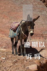 逾期以后被起诉是合法的么(逾期真的会被起诉吗)