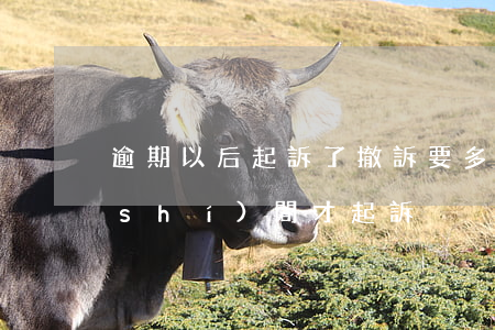 逾期以后起訴了撤訴要多久 撤訴過多長時(shí)間才起訴