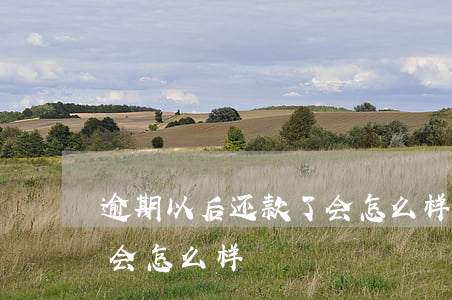 逾期以后还款了会怎么样(如果我还款逾期了会怎么样)