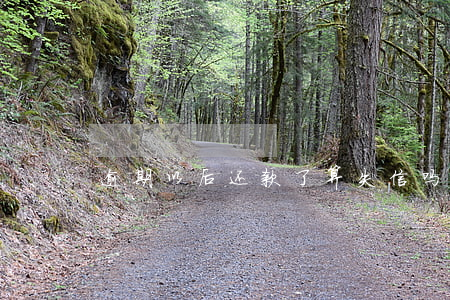 逾期以后还款了算失信吗