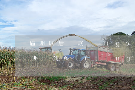 逾期以后還款機構(gòu)不在了(還款日期沒到系統(tǒng)說我逾期了)