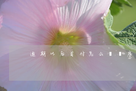 逾期以后首付怎么辦(買房首付逾期了怎么辦)