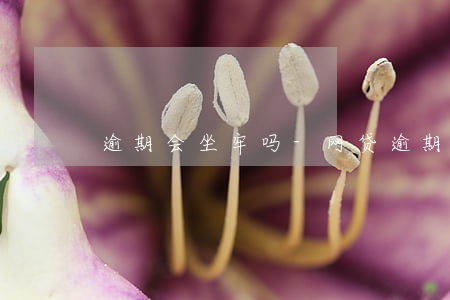 逾期会坐牢吗-网贷逾期会坐牢吗