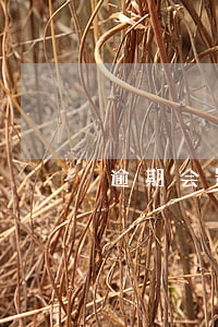 逾期会影响微信支付吗(微信支付会过期吗?)