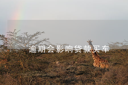 逾期会影响贷款买车