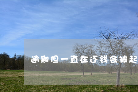 逾期但一直在还钱会被起诉吗