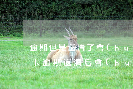 逾期但是還清了會(huì)上征信嗎（信用卡逾期還清后會(huì)上征信嗎）