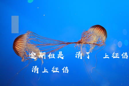 逾期但是還清了會上征信嗎（信用卡逾期后還清上征信嗎）