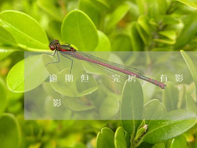 逾期但還完房貸有影響嗎(房貸逾期了有什么影響)